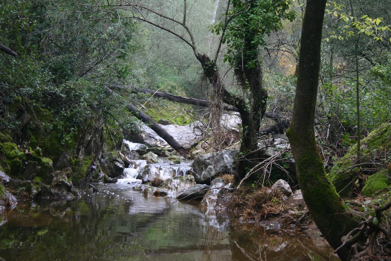 Camping La Brena Hotel Almodóvar del Río Kültér fotó