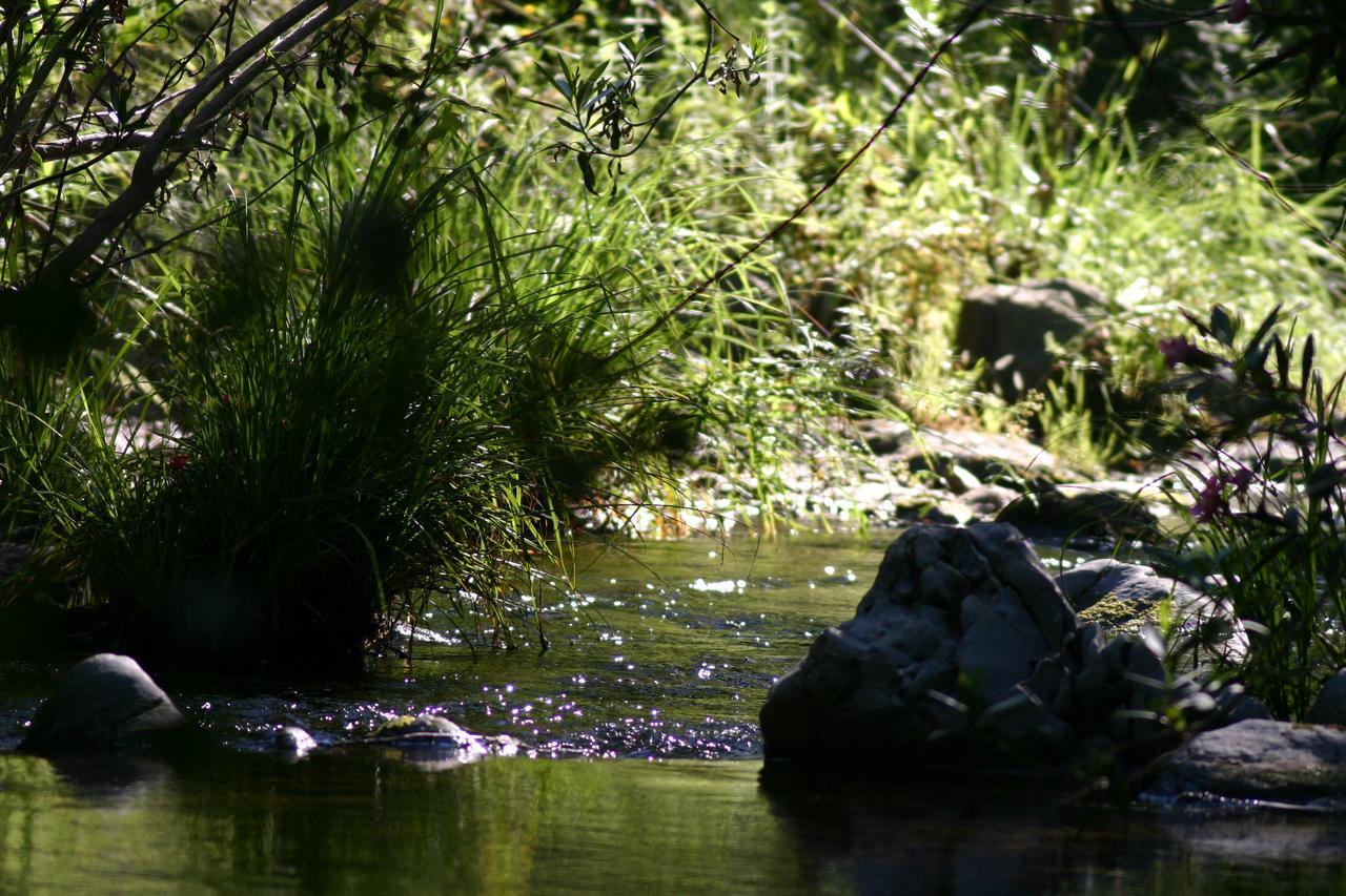 Camping La Brena Hotel Almodóvar del Río Kültér fotó